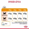 ROYAL CANIN Hair&Skin Care Adult - sausas kačių ėdalas - 400g