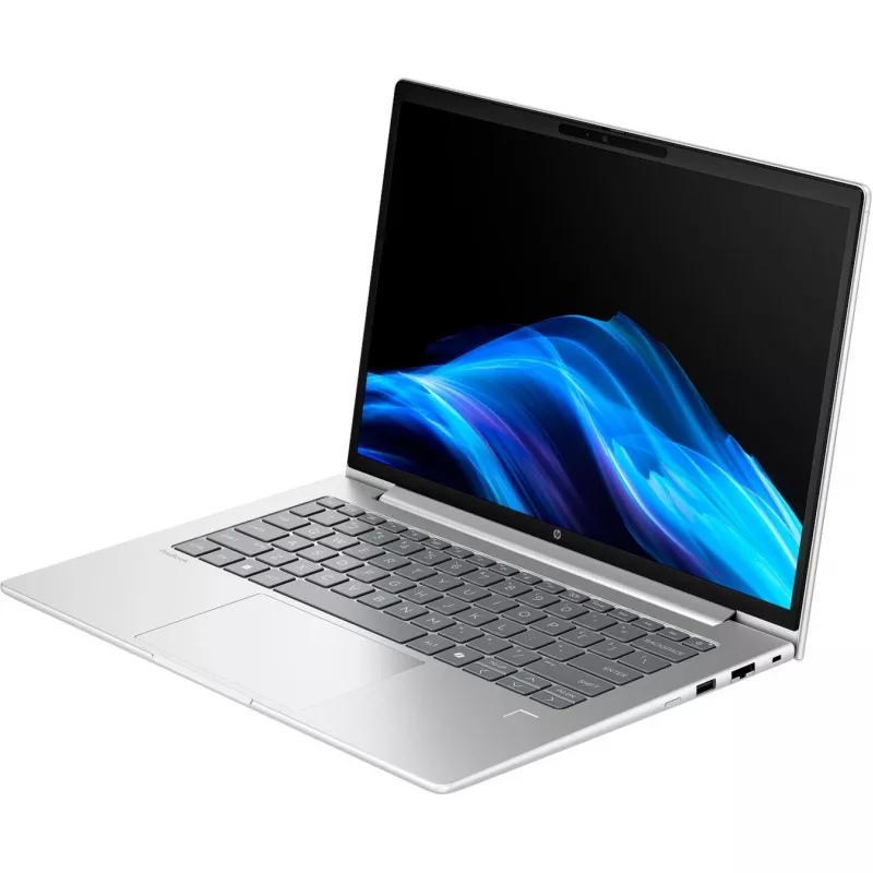 Probook 4 G1a (C07P5ES), Nešiojamasis kompiuteris Sidabrinis, AMD Ryzen 5 230, AMD Radeon 760M, 24 GB DDR5, 1 TB (1 TB SSD), be operacinės sistemos