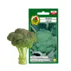 Sėklos — Apte Broccoli 'Cezar' | Daržovių sėklų pakuotė 2 g