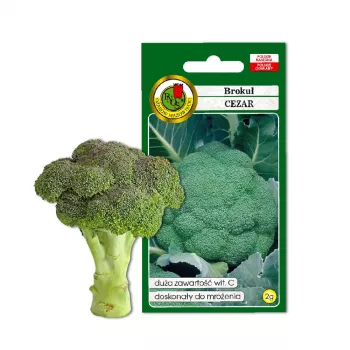 Sėklos — Apte Broccoli 'Cezar' | Daržovių sėklų pakuotė 2 g