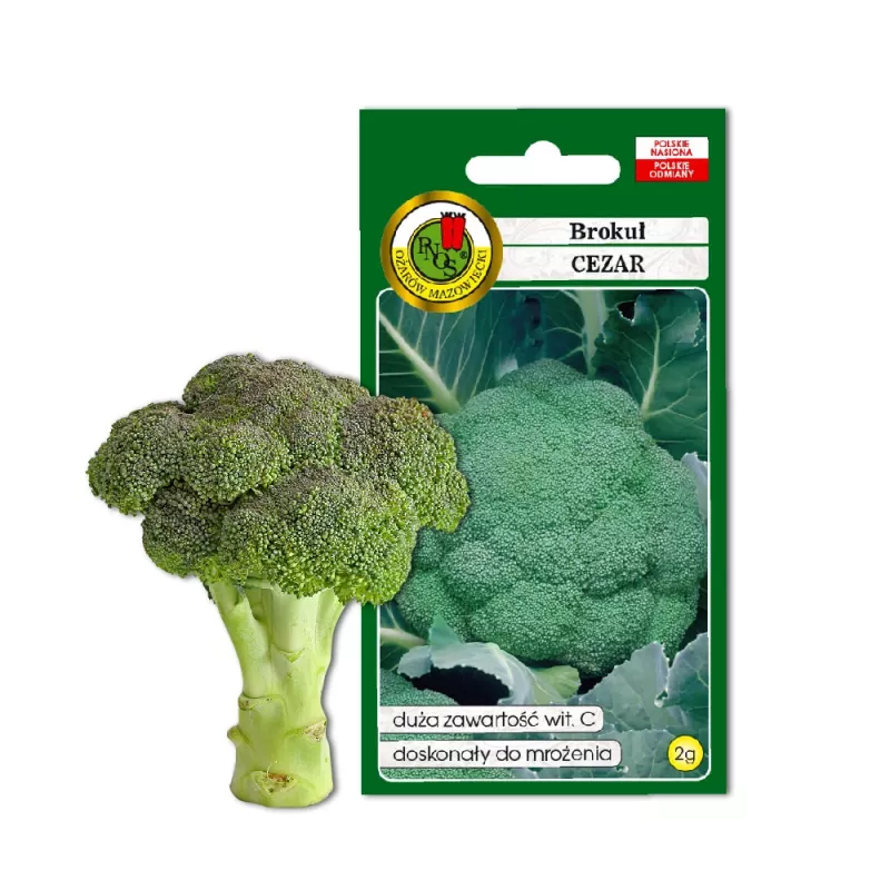Sėklos — Apte Broccoli 'Cezar' | Daržovių sėklų pakuotė 2 g