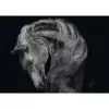 Dėlionė schmidt spiele Ashley Rader Power Horse — 1000 dalių, MPN 58543