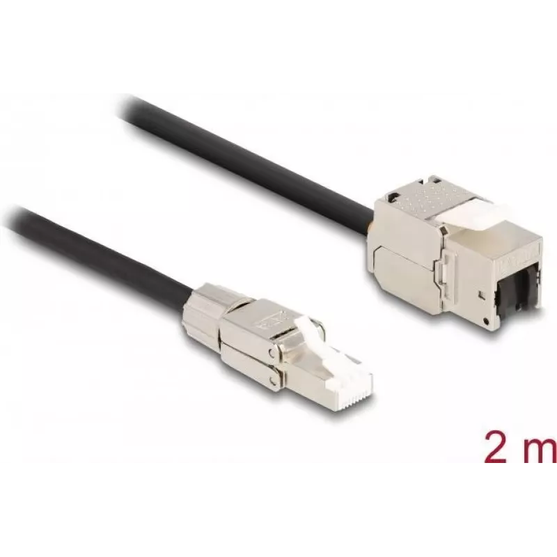 DeLOCK laido RJ45 kištuko lauko montavimas į Keystone modulio RJ45 lizdą Cat.6A 2 m