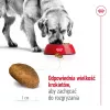 Sausas šunų maistas Royal Canin Maxi Adult 15 kg — Vištiena, 26% baltymų, 17% riebalų, virškinimo palaikymas