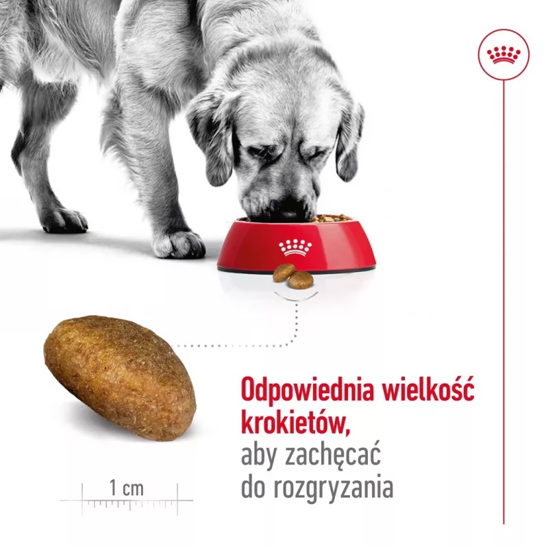 Sausas šunų maistas Royal Canin Maxi Adult 15 kg — Vištiena, 26% baltymų, 17% riebalų, virškinimo palaikymas
