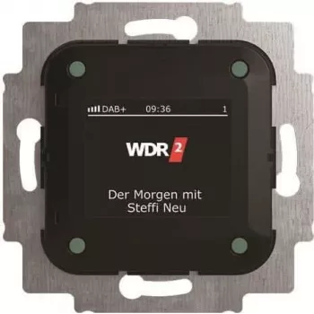 Busch-Jaeger Busch-Radio DAB+ 8215 U-101 (2CKA008200A0275)
