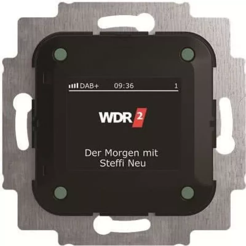 Busch-Jaeger Busch-Radio DAB+ 8215 U-101 (2CKA008200A0275)