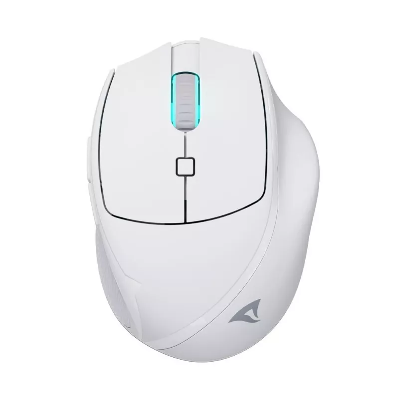 Sharkoon OfficePal M25W belaidė biuro pelė, dešinei rankai, 4000 DPI