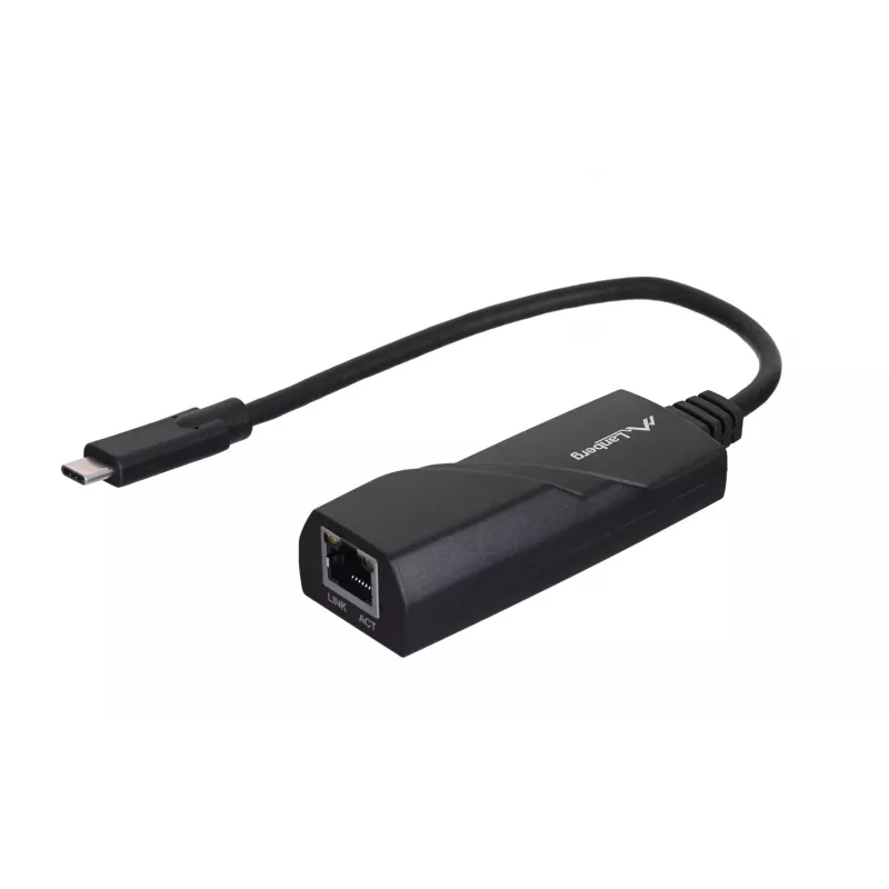 Lanberg NC-1000-02 sąsajos plokštės / adapteris RJ-45