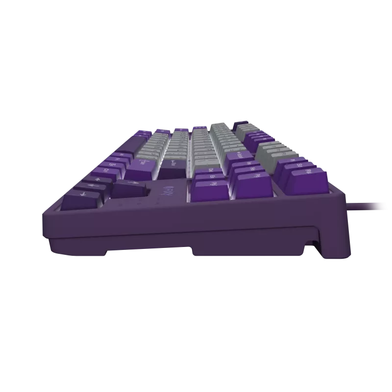 NATEC Fury žaidimų klaviatūra Kanabo K2 US balta foninė mechaninė pilkai violetinė