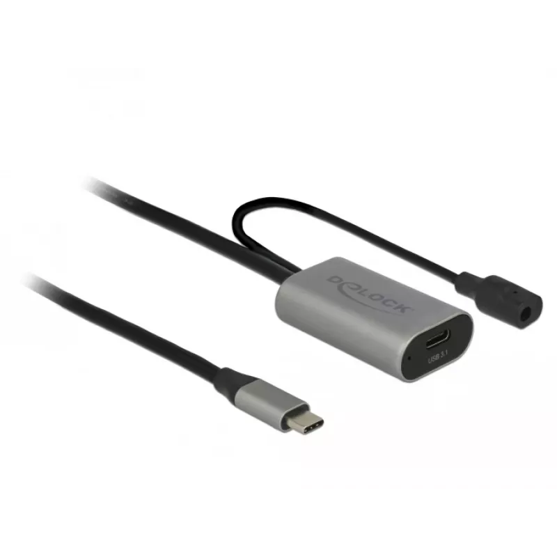 Delock USB-20225 maitinimo adapteris pilkas