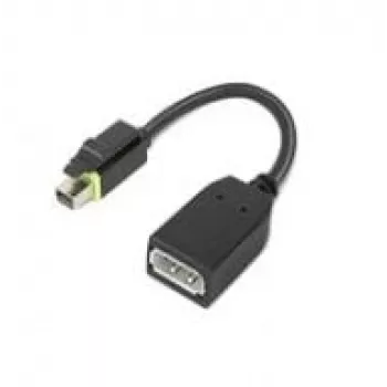 Lenovo 4X90Q93975 vaizdo kabelio adapteris Mini DisplayPort DisplayPort juodas