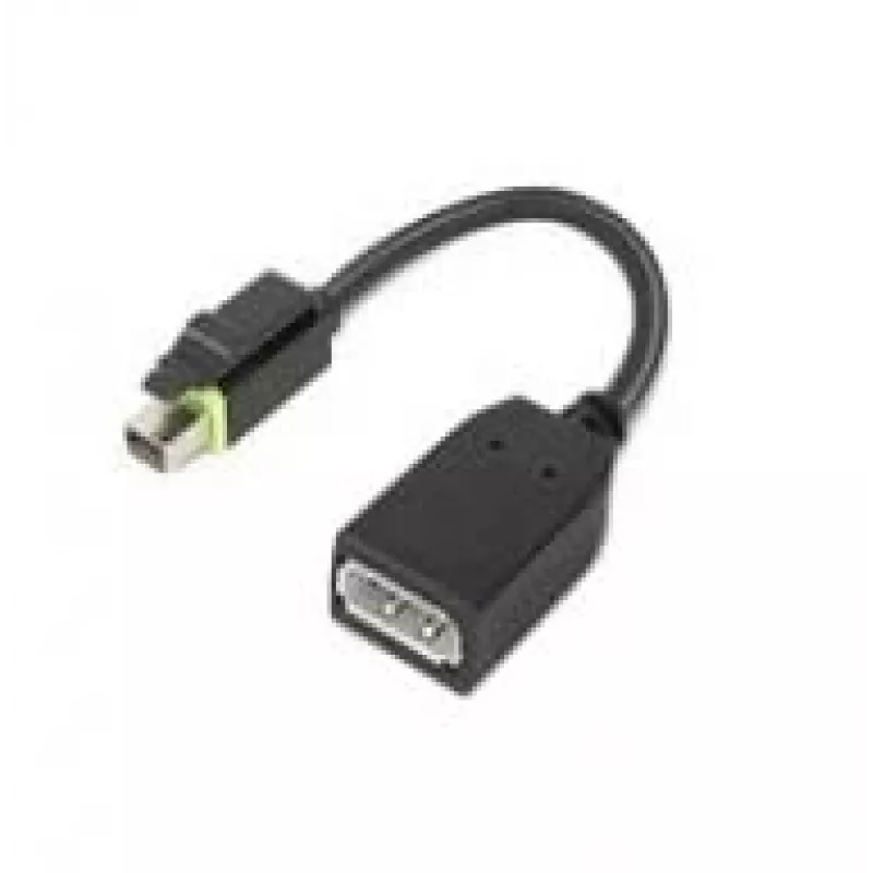 Lenovo 4X90Q93975 vaizdo kabelio adapteris Mini DisplayPort DisplayPort juodas