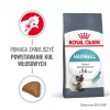 Sausas kačių maistas Royal Canin Hairball Care Suaugusioms katėms 2 kg — vištiena, 34% baltymų, 15% riebalų