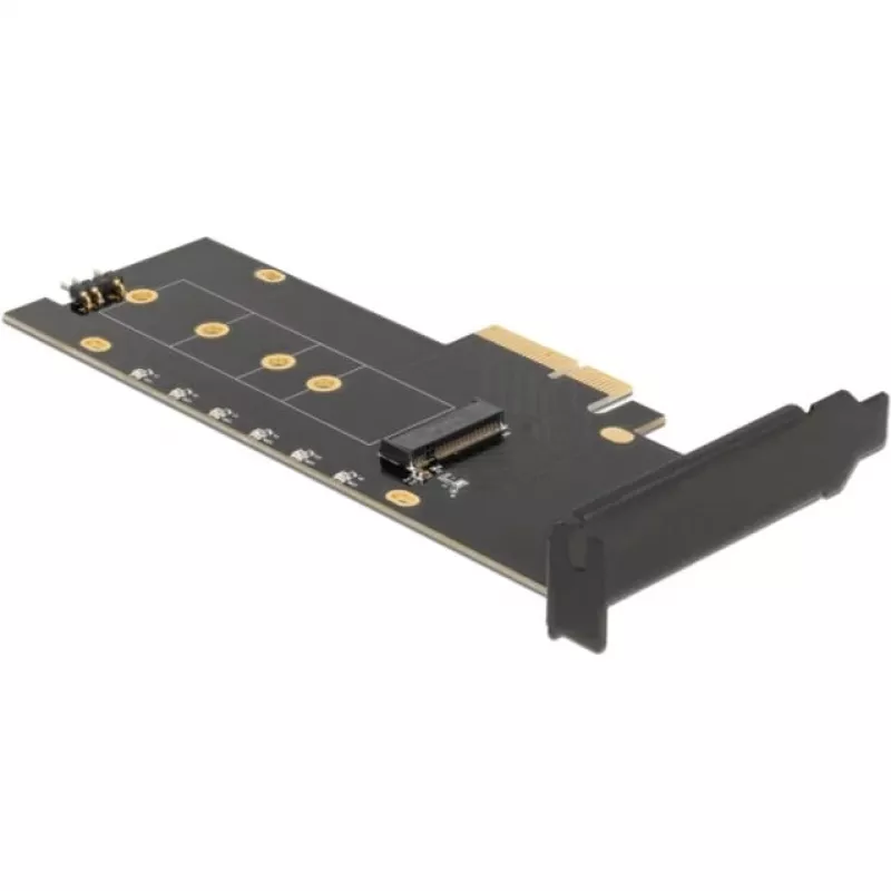 Sąsajos plokštė DeLOCK 89013 vidinė M.2 PCIe Low-profile