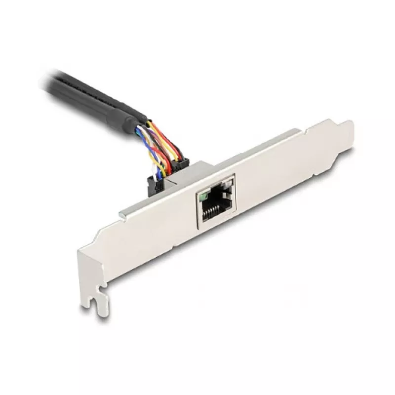 DeLOCK 95268 Vidinis RJ-45 adapteris Mini PCI Express 2,5 Gbit/s