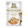 Šlapio kačių maisto maišeliai Brit Care FJ Skonių dėžutė želė 12 x 85 g