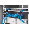 Kabelių tvarkymas Digitus DN-10 ORG-1/2U