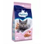 Sausas kačių ėdalas PREVITAL Senior Salmon 1,4 kg — senjorų formulė, 31% baltymų, 9% riebalų