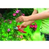 Veja pjovimo mašina WOLF-Garten RR 1500 BASIC PLUS