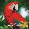 Life of the Amazonia, Stalo žaidimas