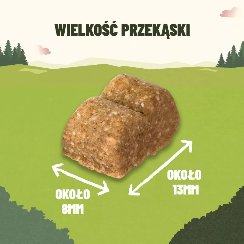 PURINA Adventuros Training salmon - šunų skanėstas - 40g