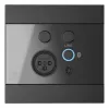 AUDAC WP225/B sieninis pultas, XLR mikrofono + 3,5 mm lizdas, Bluetooth, juoda