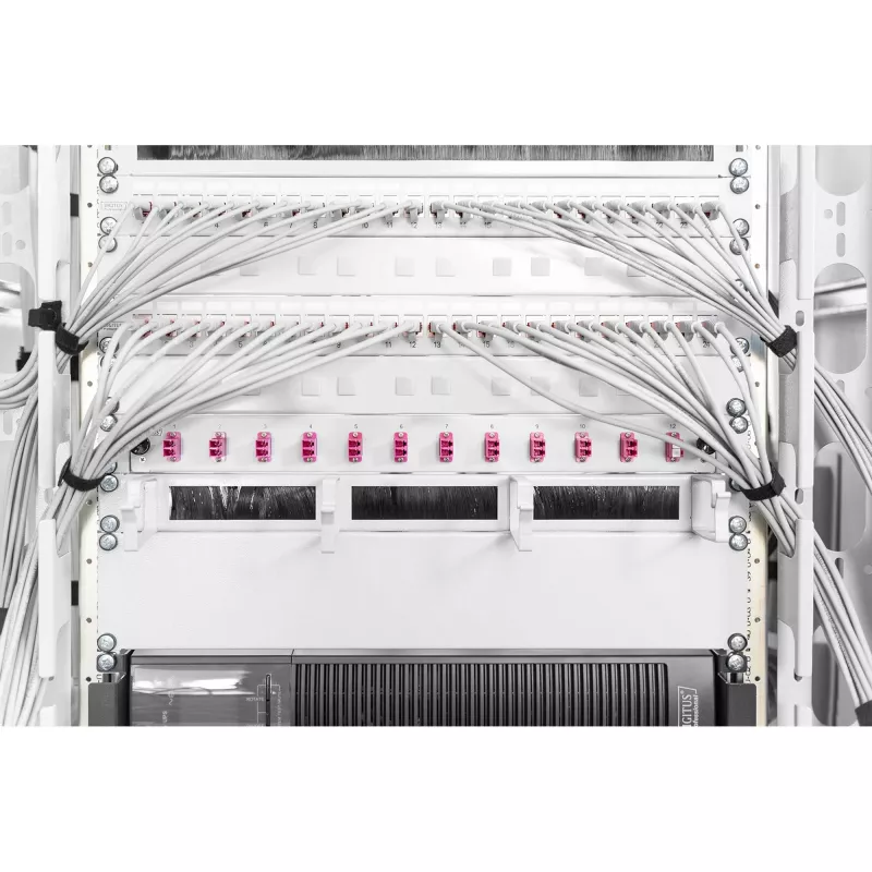 Užpildymo skydelis Digitus DN-19 BPN-02