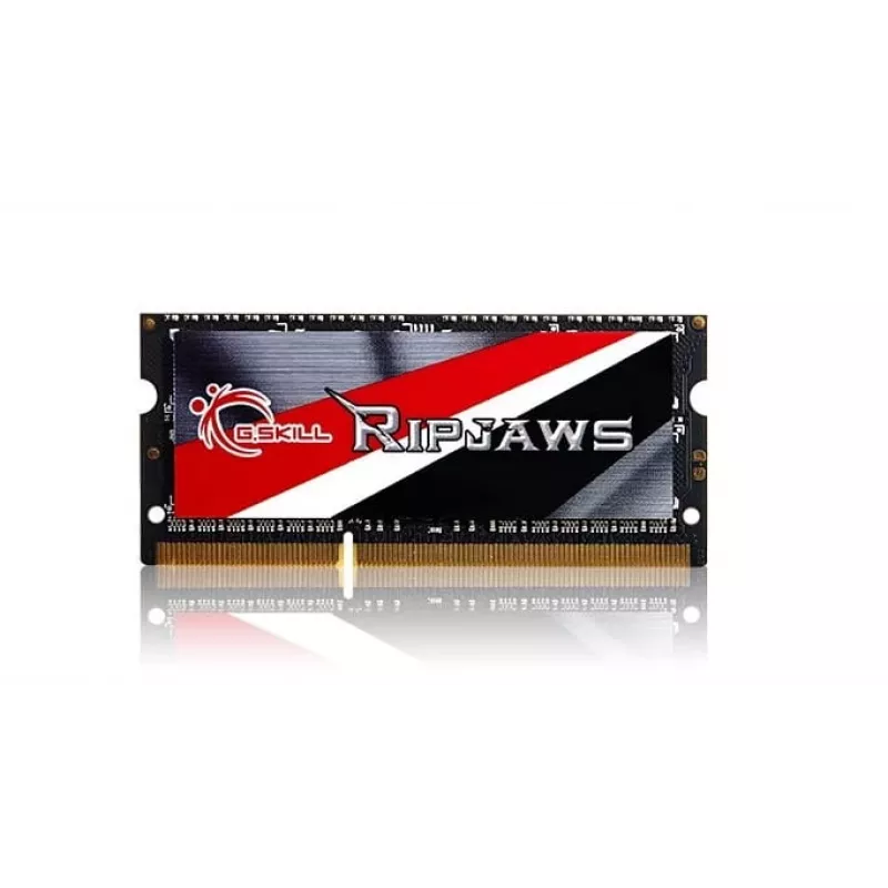 Atminties modulis G.Skill DDR3 4GB 1600MHz