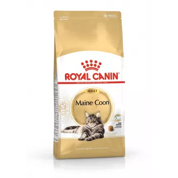 Royal Canin FBN Maine Coon Adult sausas kačių ėdalas, 4 kg