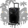 Nešiojamas karaokės garsiakalbis MANTA SPK5021PRO 20W, 12 colių žemų dažnių garsiakalbis, 80W RMS, Bluetooth, baterija iki 5 val., SD/USB, mikrofono ir gitaros įvestys