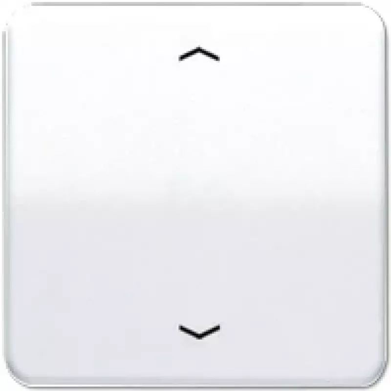 Jung CD 590 P WW (CD590PWW)