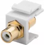 Goobay 79676 - Plokščias - Baltas - RCA - RCA - Kištukinis lizdas - Kištukinis lizdas (79676)
