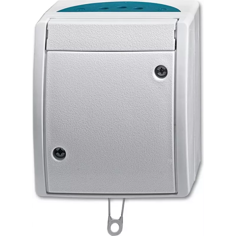 BUSCH JAEGER 2CKA001383A0141 - Zugkettenschalter - Sidabrinis - IP44 - RoHS CE - 250 V - 74 mm