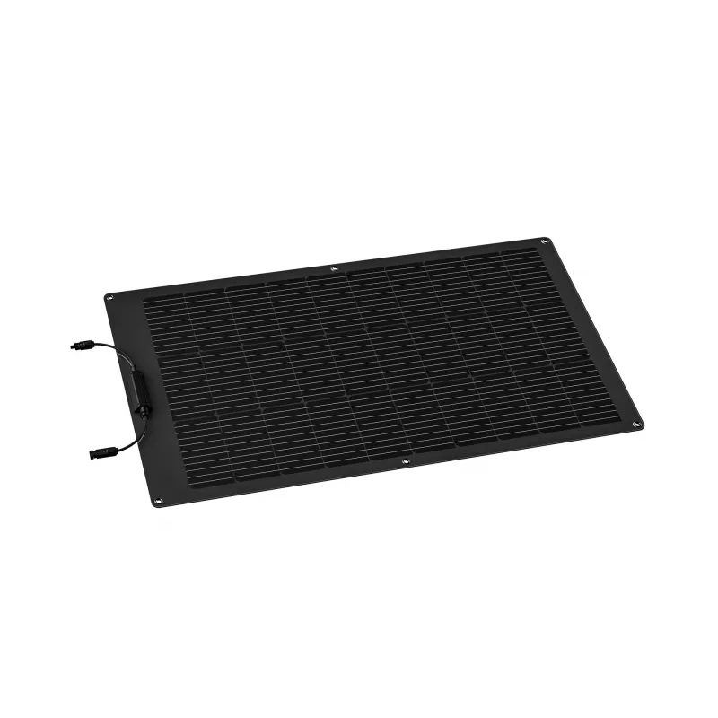 EcoFlow ZMS330 saulės baterija 100 W Monokristalinis silicis