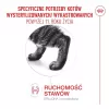 Sausas kačių maistas Royal Canin FHN Ageing Sterilised 11+ paukštiena 4 kg, 30 % baltymų, 12,5 % riebalų