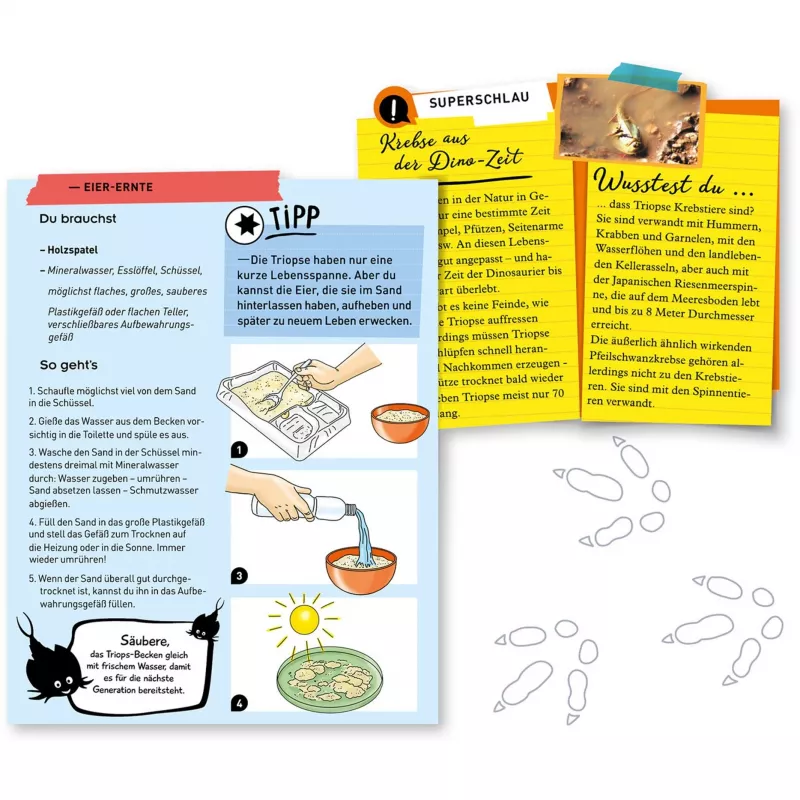 Kosmos Fun Science 637231 vaikų mokslo žaislas