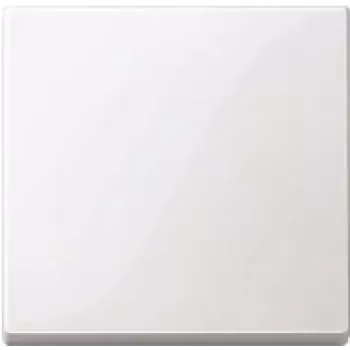 Sieninė plokštė / jungiklio dangtelis Merten 432125, balta, termoplastikas