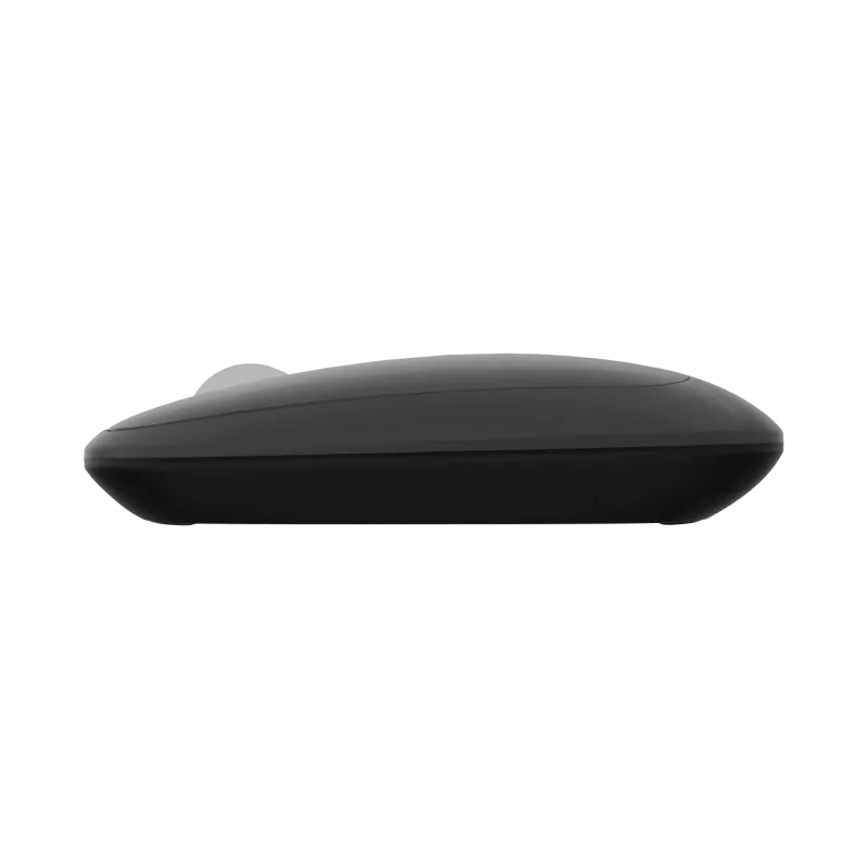 Natec pelė | Lark | Belaidė | 2,4 GHz, Bluetooth | Antracitinė
