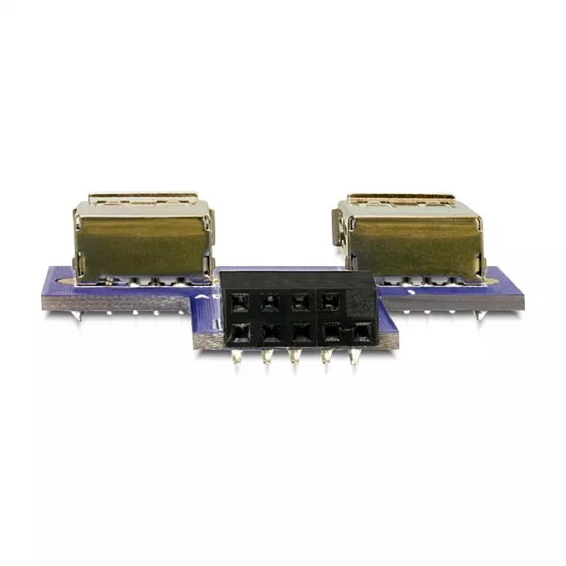 DeLOCK 9 kontaktų 2,54 mm 2 x USB 2.0 1 x 9 kontaktų 2,54 mm juoda mėlyna sidabrinė