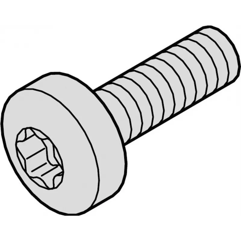 SCHROFF SCREW TORX COL.M2.5X12.3 100X - stovo priedas (21101783)
