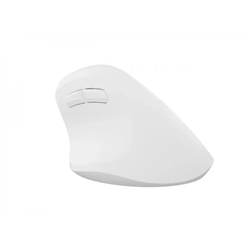 NATEC Crake 2 pelė, universali, dešiniarankiams, RF belaidė + Bluetooth optinė 2400 DPI