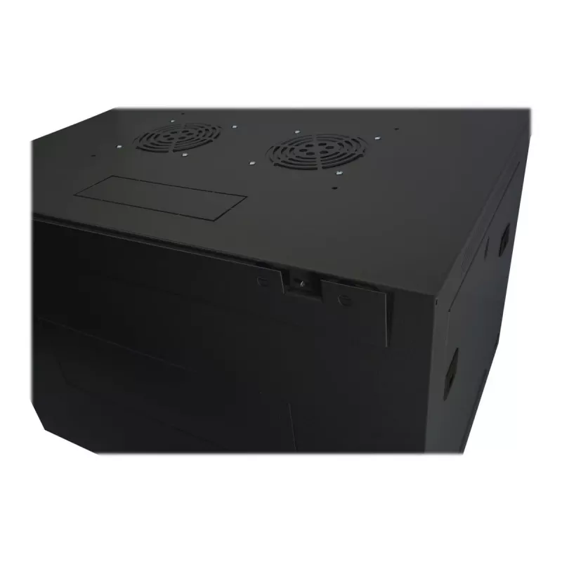 DIGITUS Dynamic Basic DN-19 16-U-EC-SW - Spinta - Tinklo spinta - tinkama montuoti ant sienos - RAL 9005 - 16U - 48,3 cm (19 inch)