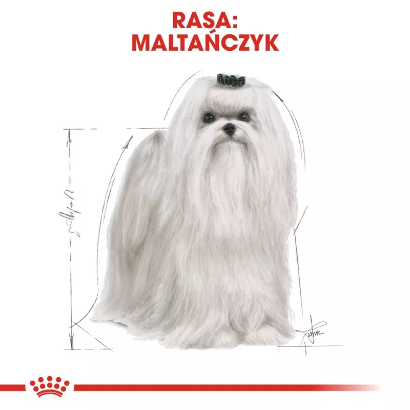Sausas šunų maistas Royal Canin Maltese Adult 1.5 kg — vištiena, 24% baltymų, 18% riebalų