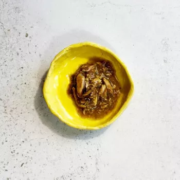Ollo Tunas su jūros dumbliais sultinyje Nr. 8 70 g