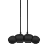 Apple Beats Flex ausinės