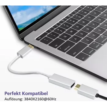 DisplayPort į HDMI adapterio kabelis Helos 4K sidabrinis — DisplayPort (kištukas) į HDMI (lizdas)