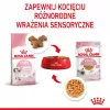 Šlapias kačiukų maistas Royal Canin Kitten Jelly 85 g — vištienos skonio, 85 g maišelis, 12 vnt.