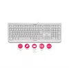 CHERRY KC 1000 klaviatūra Namų USB Swiss Pilka