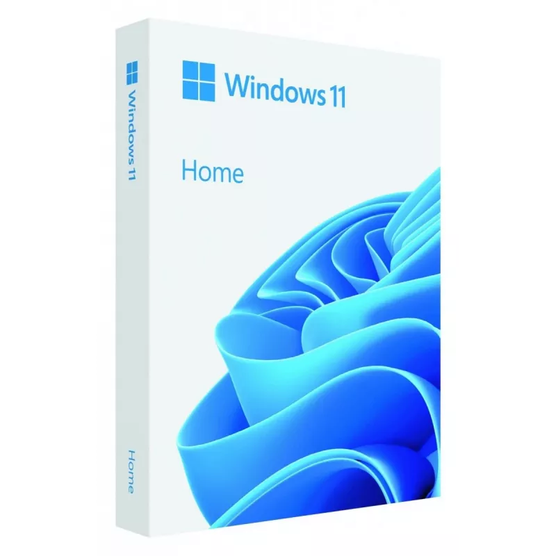 USB atmintuko operacinė sistema Microsoft Windows Home 11 64 bitų, lenkų k., 64 GB, 1 licencija (FPP)